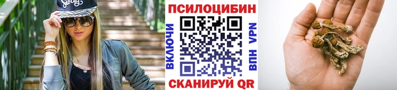 Галлюциногенные грибы MAGIC MUSHROOMS  где можно купить   Пойковский 